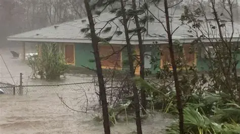 Тропический шторм 