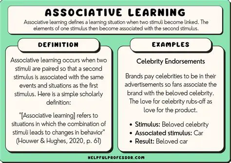 Understanding Associations between Classes and Associations