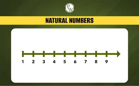 Understanding Natural Numbers