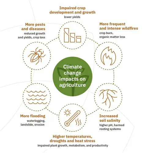 Unraveling the Crisis: Understanding the Surge in Extreme Weather Events