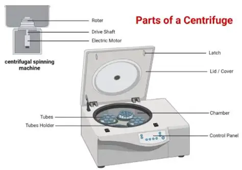 Understanding the Basics of Centrifuge