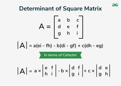 Understanding the Coefficient Matrix and Determinant