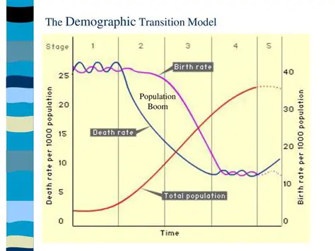 Understanding the Demographic Transition Model