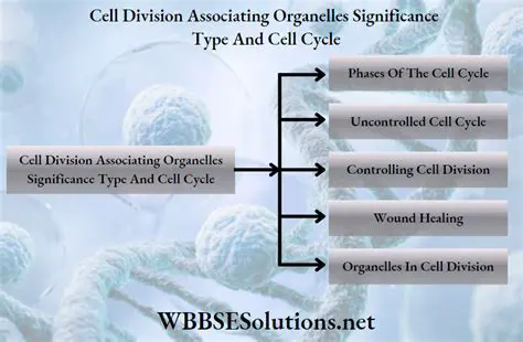 Unlocking the Secrets of U5HVS0NR6G: A Deep Dive into Its Significance and Applications