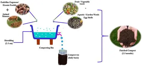 Use of liquid organic fertilizer