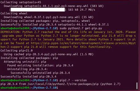 Verify the pip Installation