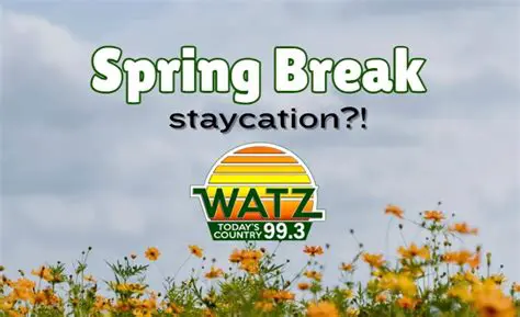 Watz News Today: Breaking News and Developments in Alpena, Michigan
