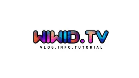 Wiwid TV: The Rise of Indonesian Digital Entertainment and Its Impact