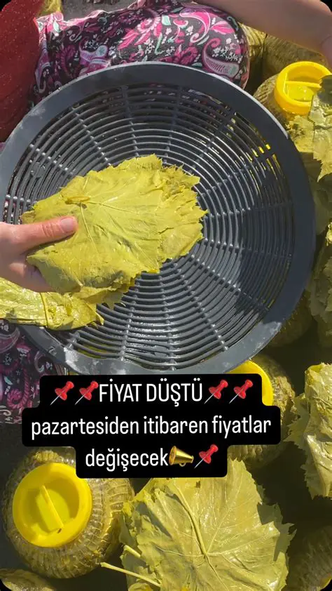 Yaprak Testi Rehberlerini Okuyun